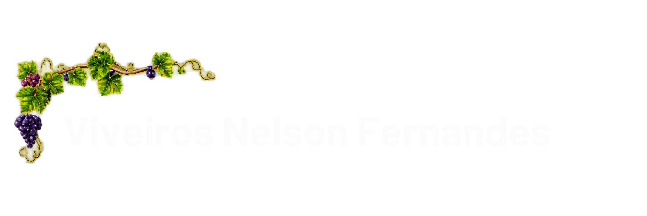 Viveiros Nelson Fernandes